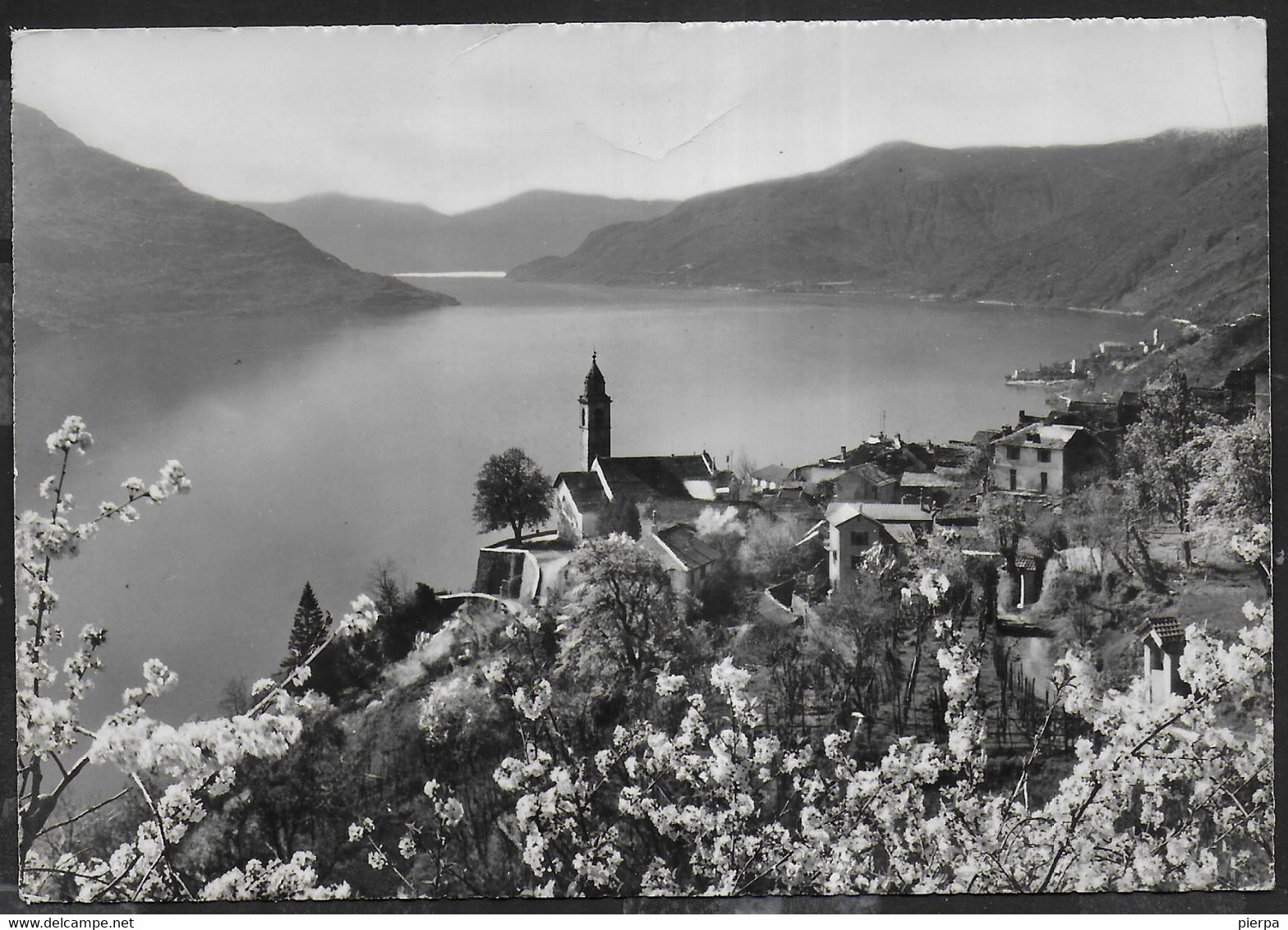 SVIZZERA - RONCO S/ASCONA - LAGO MAGGIORE - PANORAMA - VIAGGIATA 1961 - Ronco Sopra Ascona