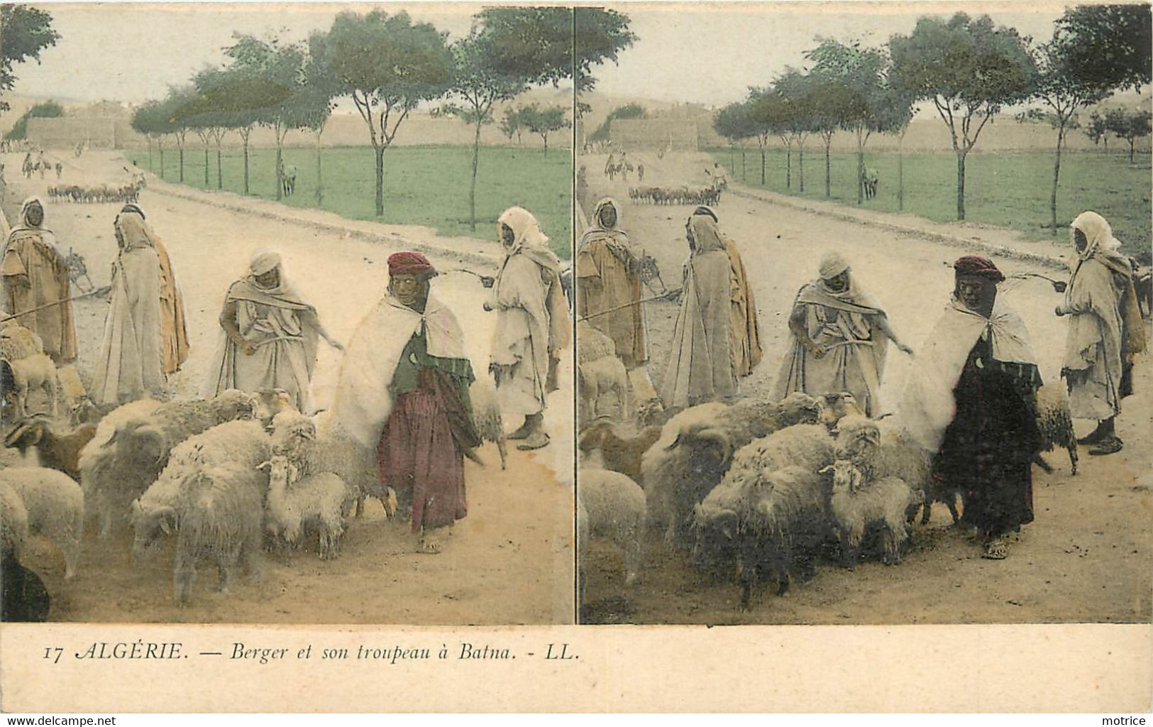 CARTE STEREO - Algérie, Lot De 9 Cartes Diverses. - Cartes Stéréoscopiques