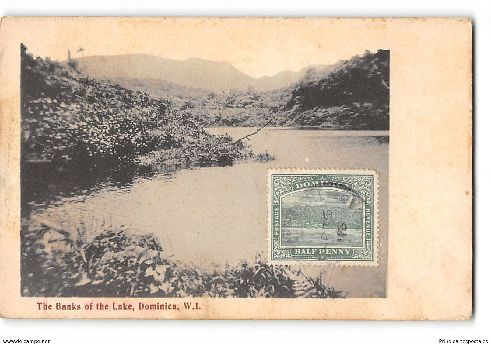 CPA Dominique - The Banks Of The Lake - Dominica - W.I - Dominica