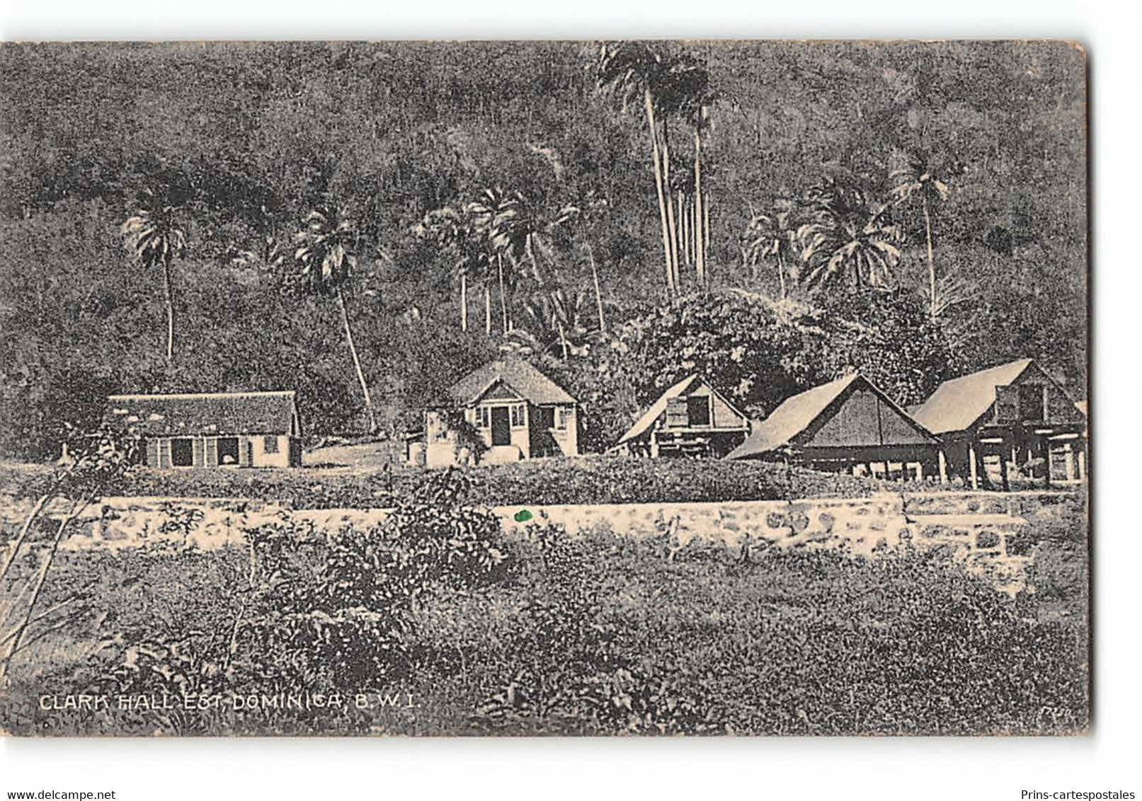 CPA Dominique - Clark Hall Est. - Dominica - B.W.I - Dominica