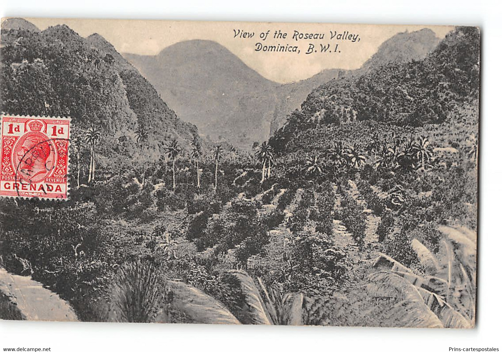 CPA Dominique - View Of The Roseau Valley - Dominica B.W.I - Dominica