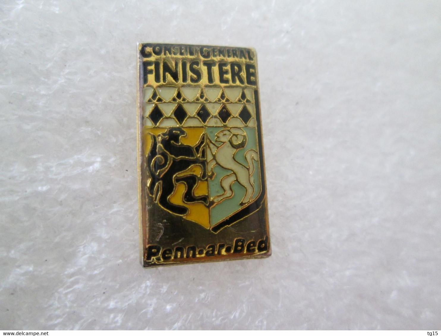 PIN'S      CONSEIL  GENERAL  DU  FINISTERE - Administrations