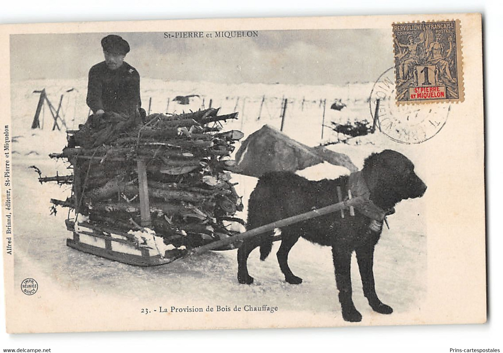 CPA Saint-Pierre Et Miquelon - La Provision De Bois De Chauffage - Saint-Pierre-et-Miquelon