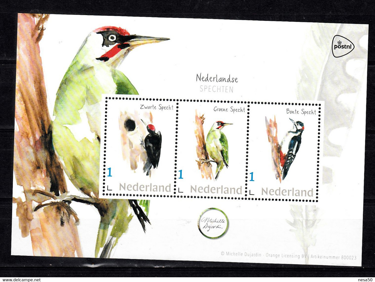 Nederland Persoonlijke Zegels PostNL Thema: Vogels, Specht, Woodpecker, ( Zwarte, Black, Groen, Green, Bonte, Spotted) - Unused Stamps