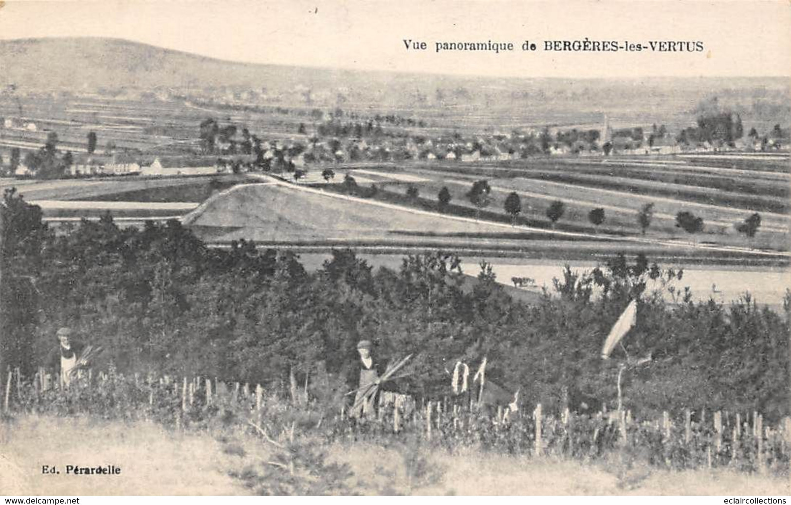 Bergères-les-Vertus        51        Vue Panoramique           (voir Scan) - Otros & Sin Clasificación