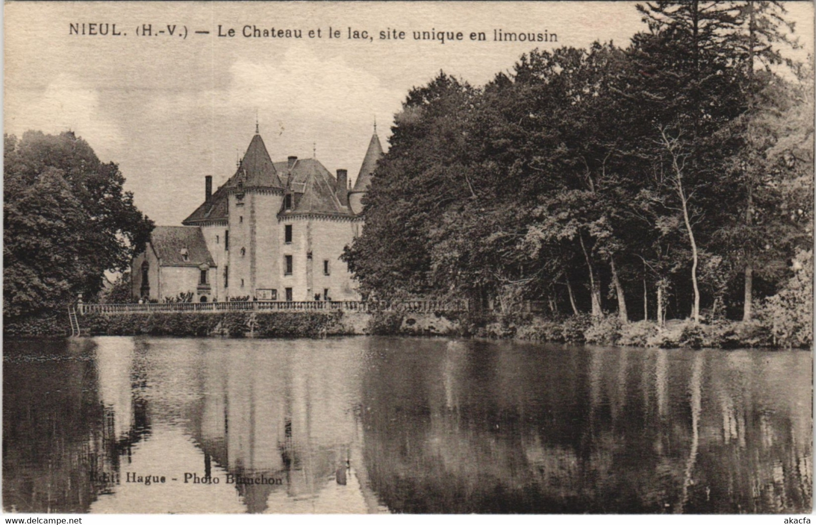 CPA NIEUL - Le Chateau Et Le Lac Site Unique En Limousin (122482) - Nieul