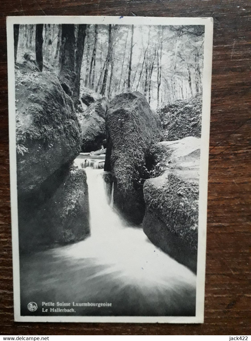 L21/1472 Luxembourg . Petite Suisse Luxembourgeoise . Le Hallerbach - Müllerthal