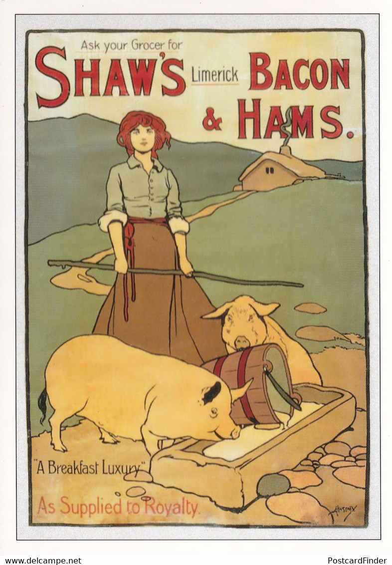 Shaws Old Bacon Limerick Irish Ham Advertising Postcard - Werbepostkarten