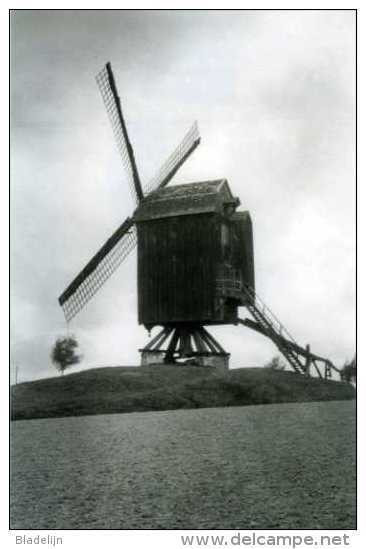 VOLLEZELE Bij Galmaarden (Vlaams-Brab.) - Molen/moulin - Verdwenen Standaardmolen (deels Verplaatst Naar Meulebeke). TOP - Galmaarden