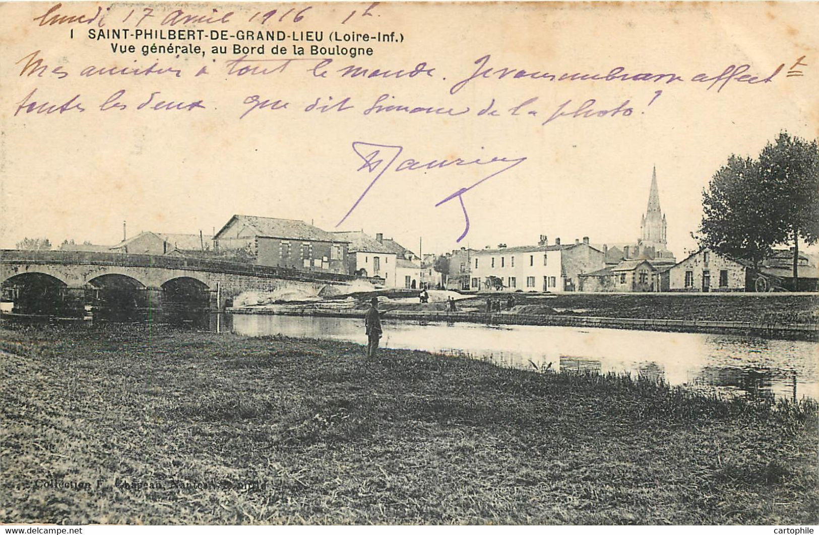 44 - SAINT PHILIBERT DE GRAND LIEU - Vue Geniale Au Bord De La Boulogne - Saint-Philbert-de-Grand-Lieu