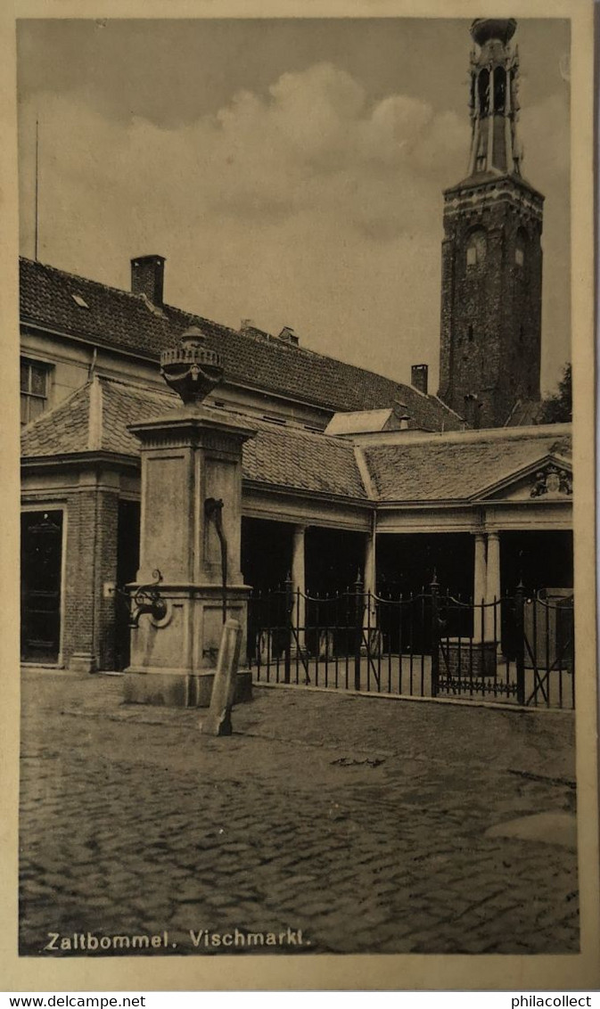 Zaltbommel /// Vischmarkt (Waterpomp) 19?? - Zaltbommel