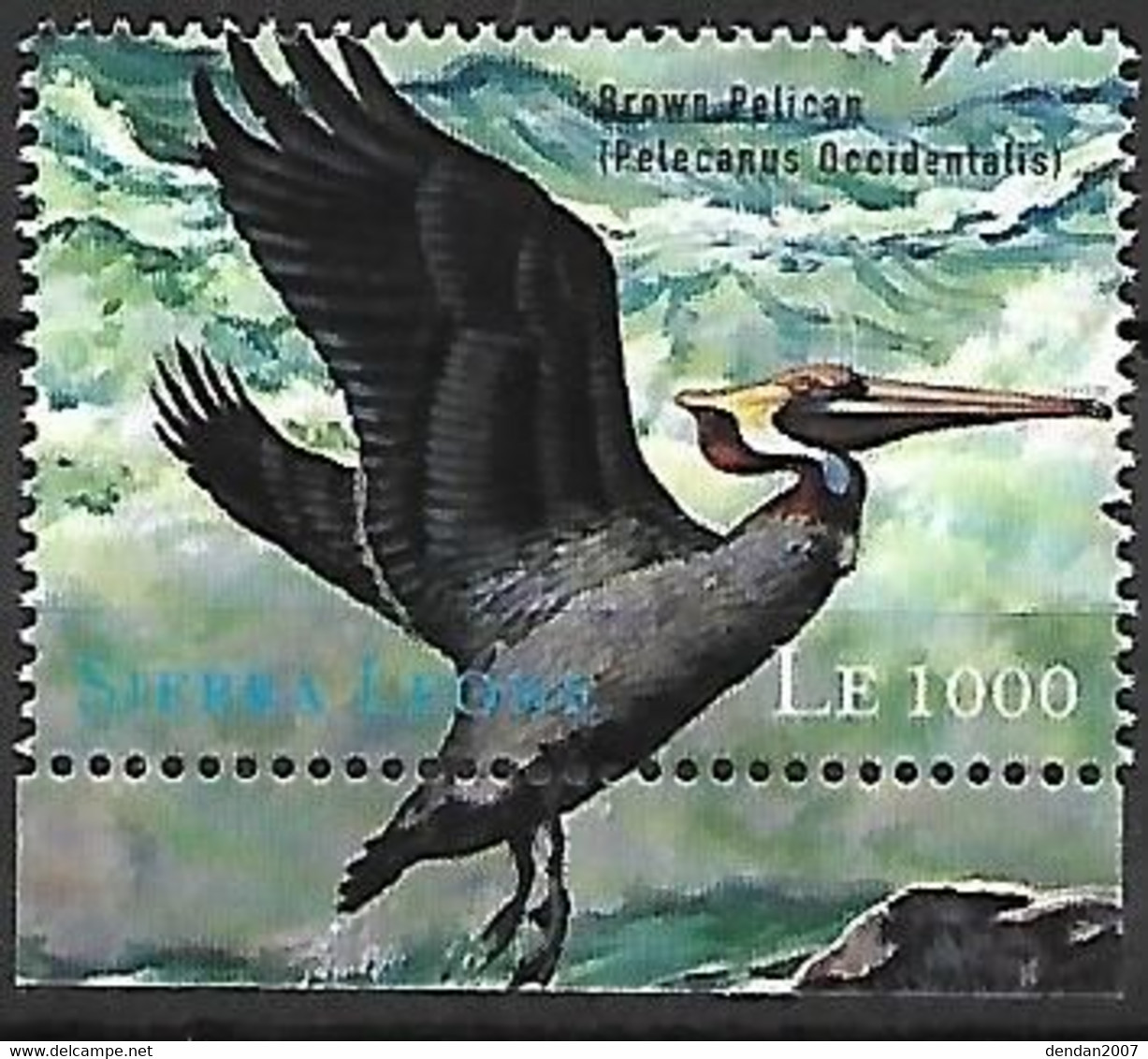 Sierra Leone - MNH ** 2000 :    Brown Pelican  -  Pelecanus Occidentalis - Pélicans