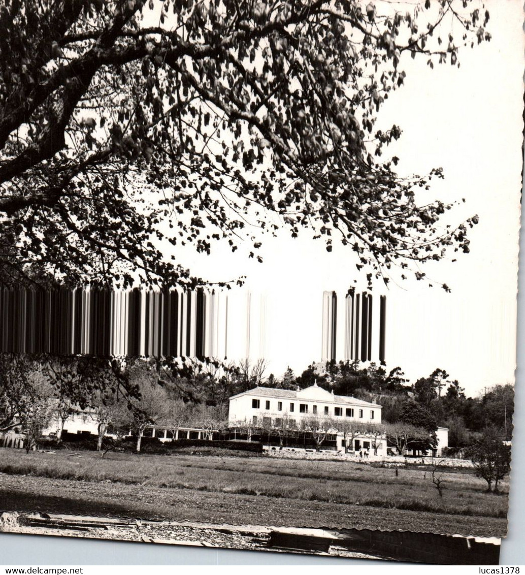 83 / NANS LES PINS / AIR PUR / LE PREVENTORIUM / CAUJOLLE - Nans-les-Pins