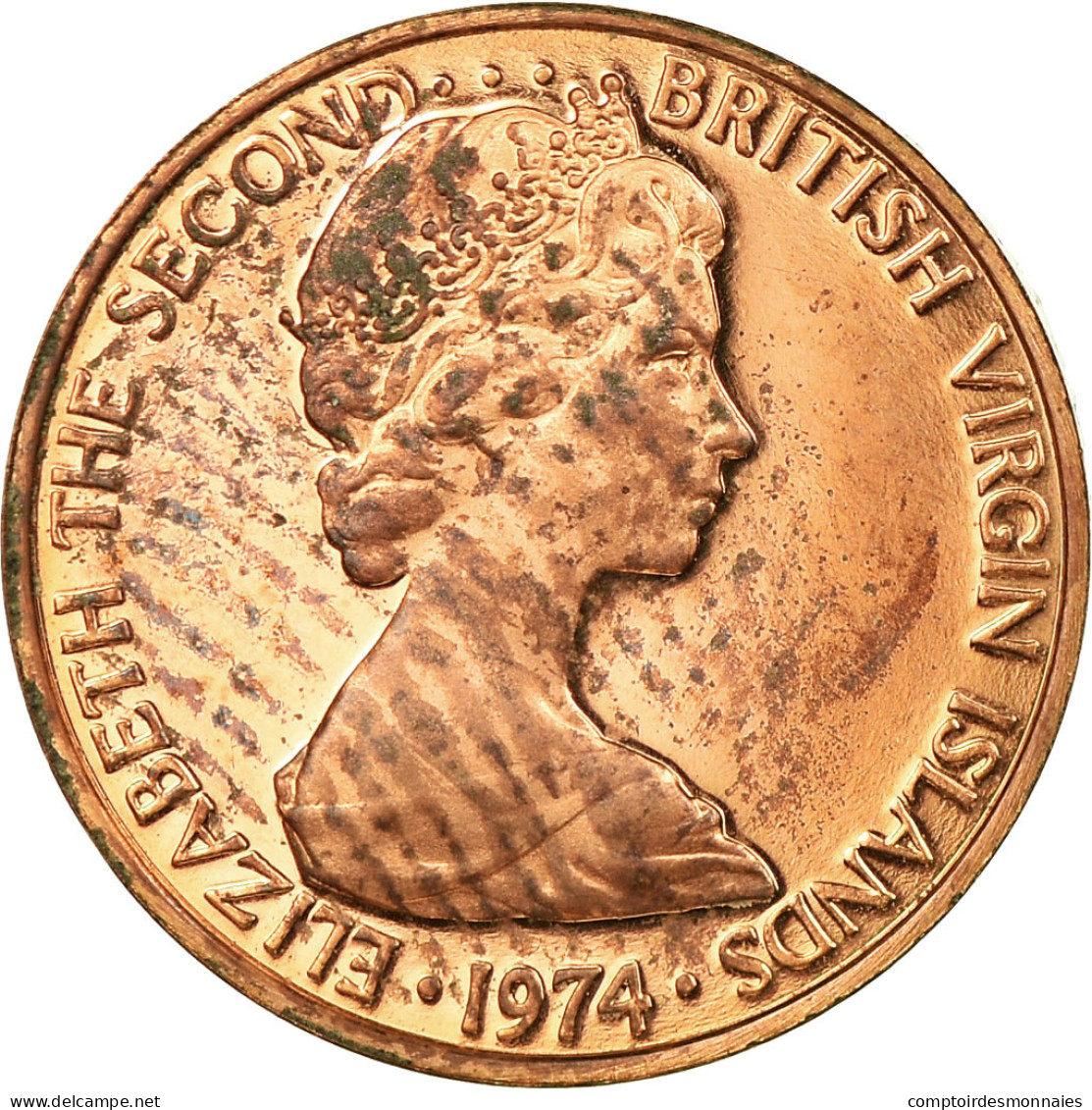 Monnaie, BRITISH VIRGIN ISLANDS, Elizabeth II, Cent, 1974, Franklin Mint - Iles Vièrges Britanniques