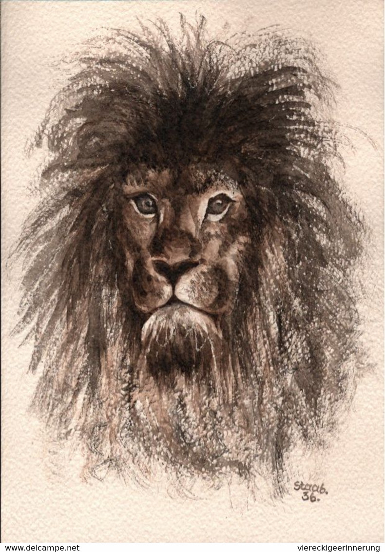 ! "Löwe Im Zoo, Lion", 1936, Handgemalte Künstlerkarte Sign. Fritz Staab (1918-1942) , Handgezeichnetes Unikat - Leones