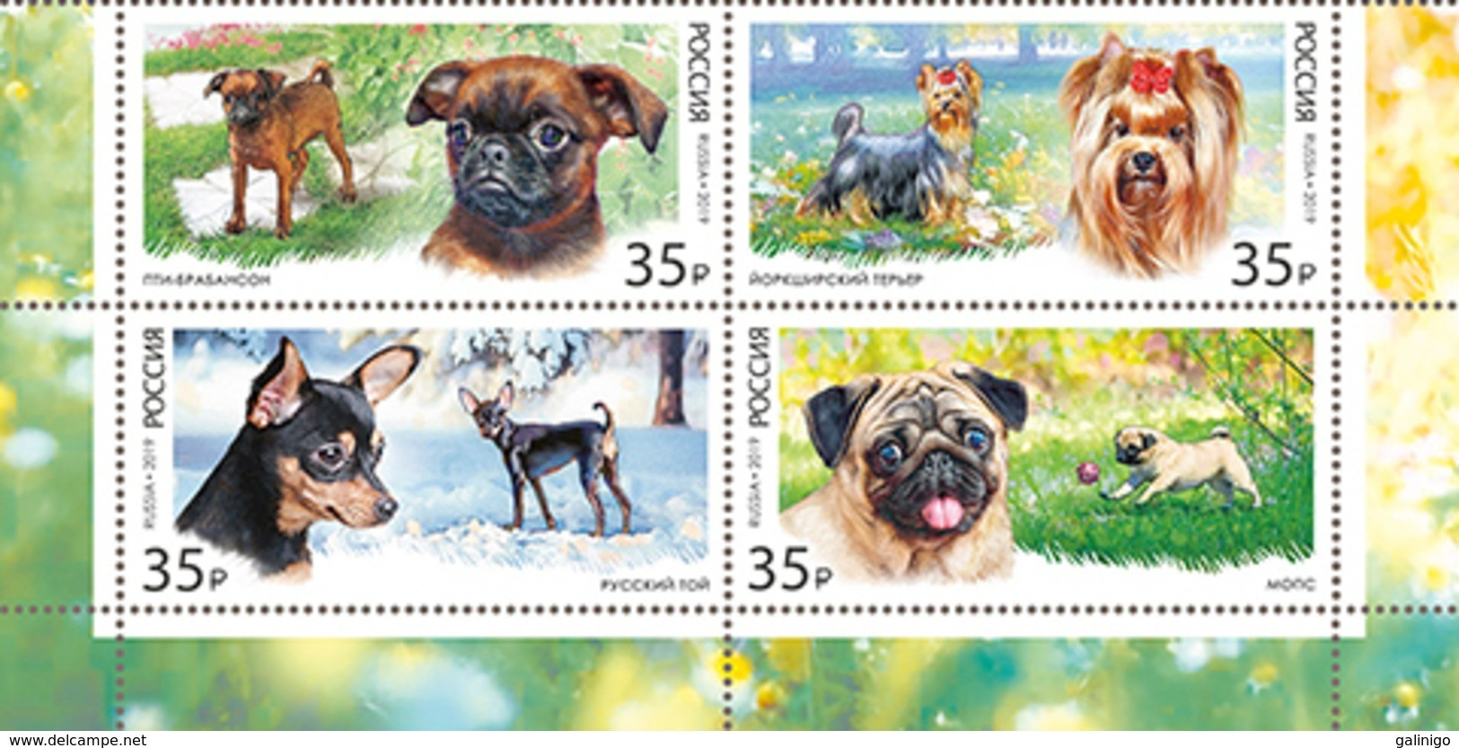 2019-2448-2451 4v-bottom Russia Decorative-room Dogs:Russian Toy,pti-brabanson,pug,Yorkshire Terrier.Mi 2665-2668 MNH - Ongebruikt