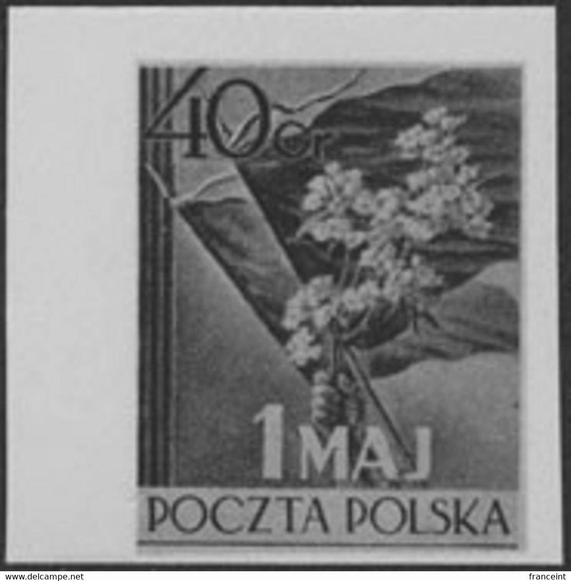 POLAND (1954) Flag. Flowers. Black Print. Scott No 617, Yvert No 744. Labor Day. - Proeven & Herdruk