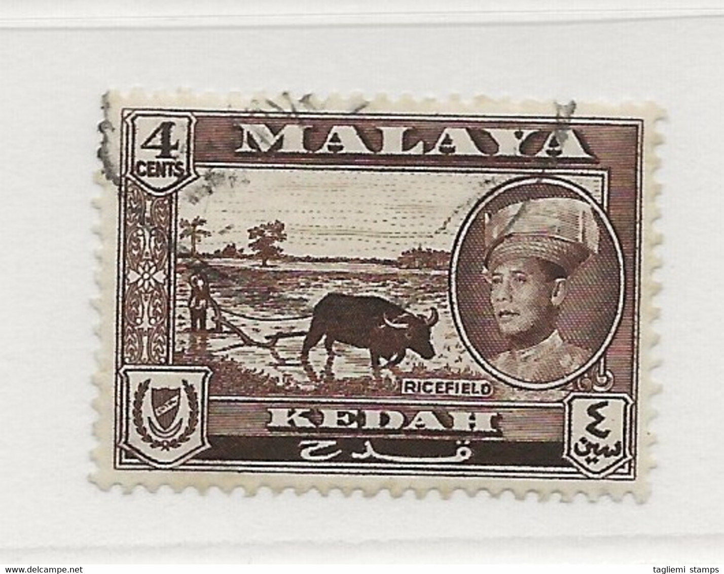 Malaysia - Kedah, 1959, SG 106, Used - Kedah