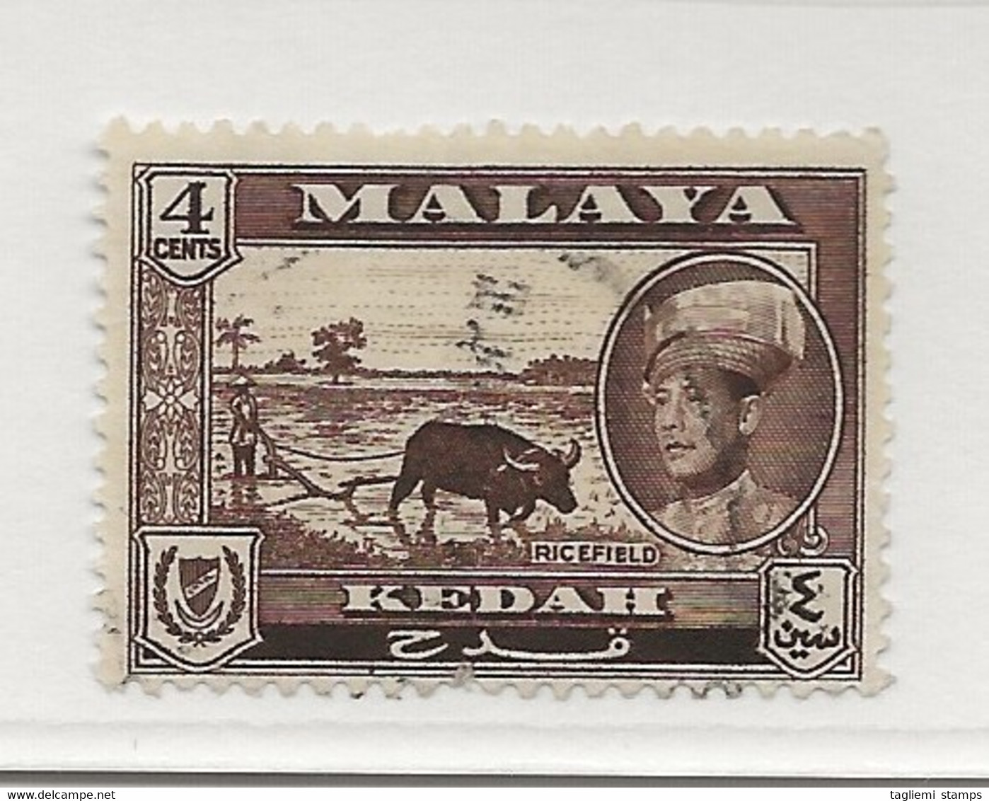 Malaysia - Kedah, 1959, SG 106, Used - Kedah