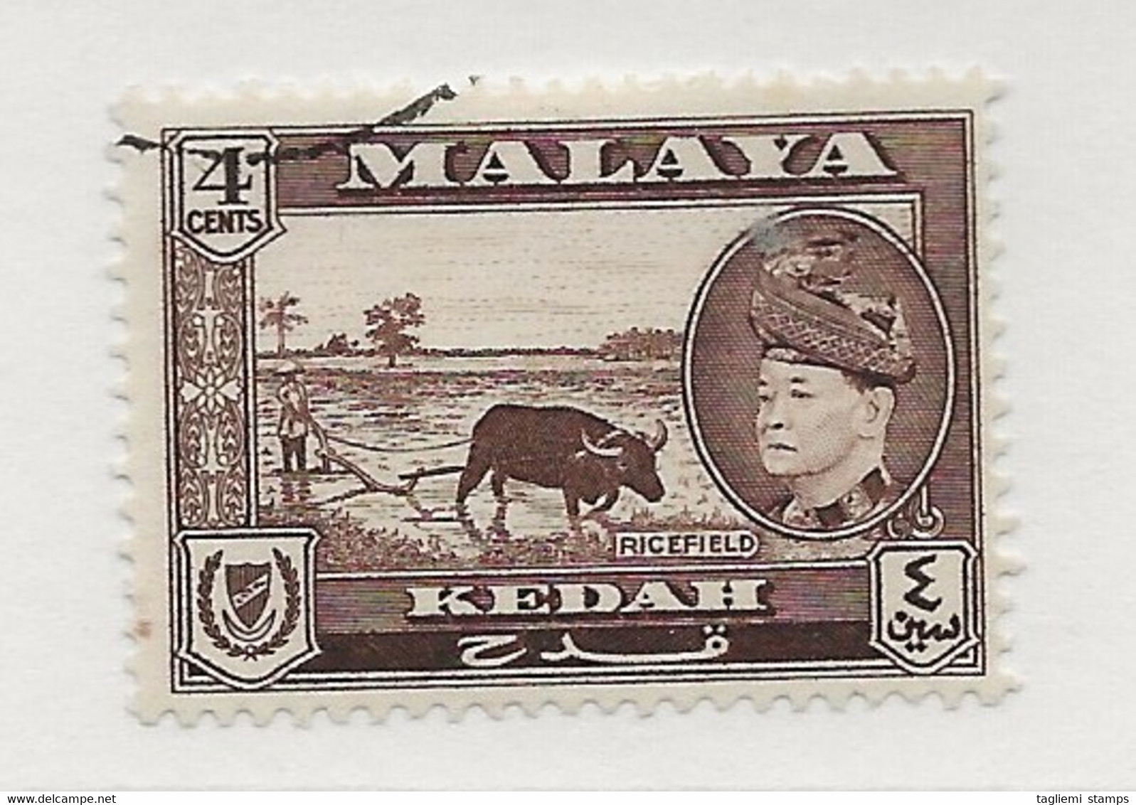 Malaysia - Kedah, 1957, SG  94, Used - Kedah