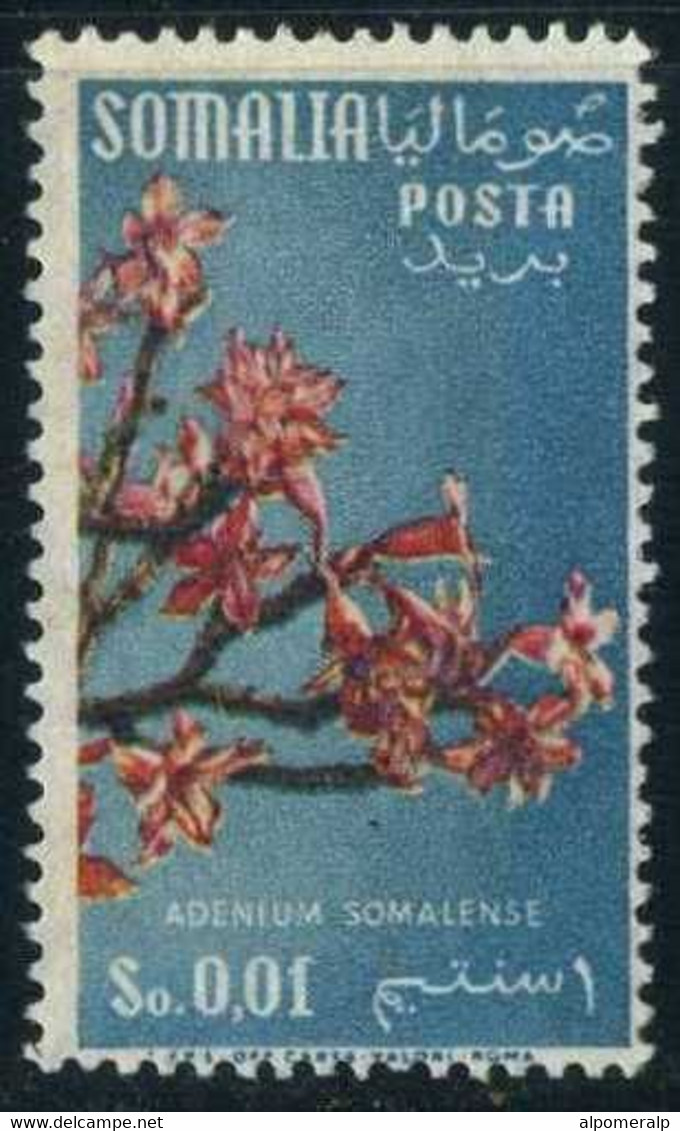 Somalia, Italian 1956 Mi 321 [Watermark: Stars] Flower, Adenium Somalense (Apocynacae) - Somalie