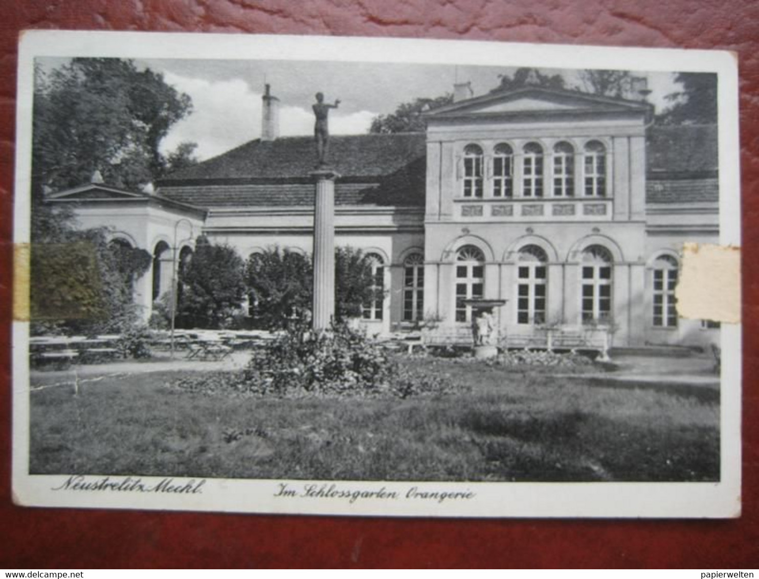 Neustrelitz (Mecklenburgische Seenplatte) - Orangerie: Im Schloßgartenü - Neustrelitz