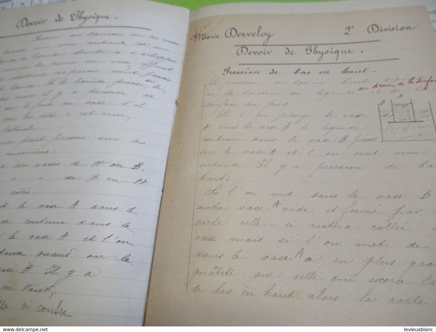 Cahier D'Ecole Ancien De Physique-Chimie/Avec Devoirs Corrigés Annotés Encre Rouge, Insérés/Marie DERVELOY/1889   CAH308 - Andere & Zonder Classificatie