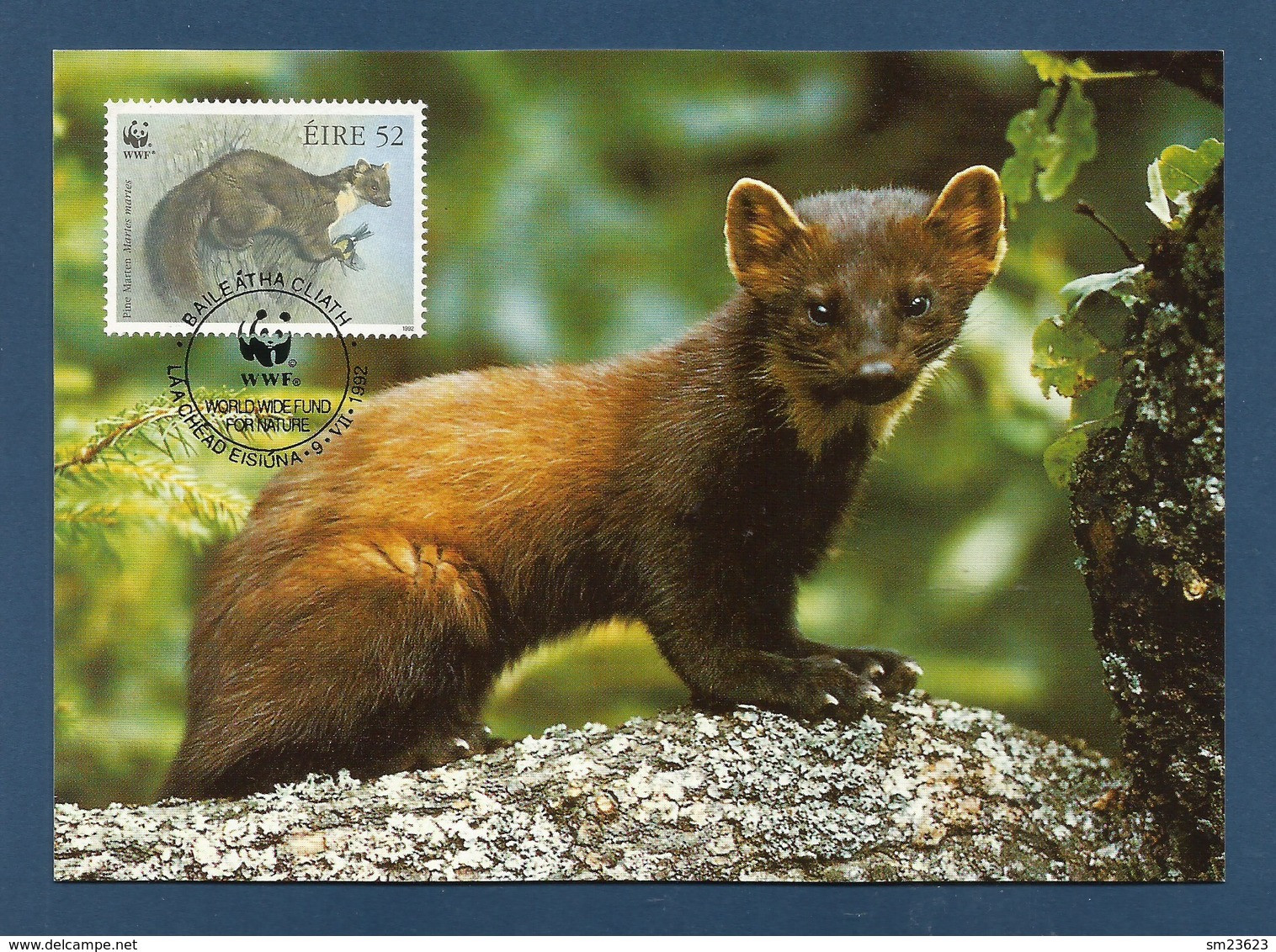 Irland 1992  Mi.Nr. 801 , Pine Marten (Der Edelmarder) - WWF Maximum Card - First Day 9.VII.1992 - Maximum Cards