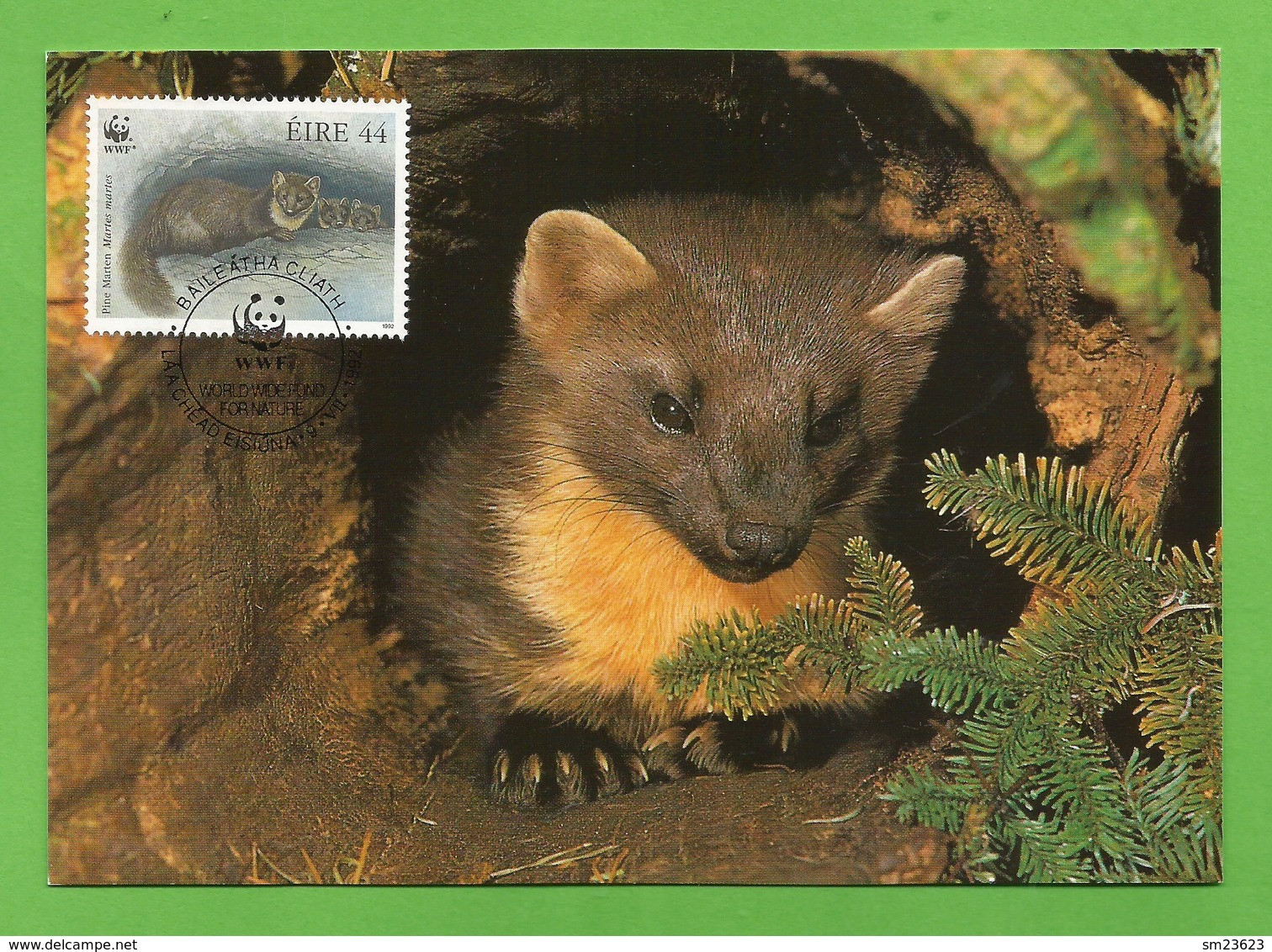 Irland 1992  Mi.Nr. 800 , Pine Marten (Der Edelmarder) - WWF Maximum Card - First Day 9.VII.1992 - Maximumkaarten