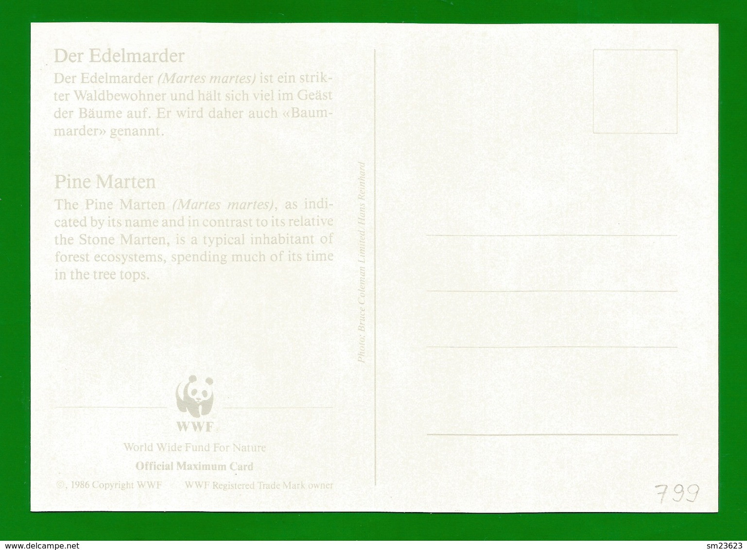 Irland 1992  Mi.Nr. 799 , Pine Marten (Der Edelmarder) - WWF Maximum Card - First Day 9.VII.1992 - Maximumkaarten
