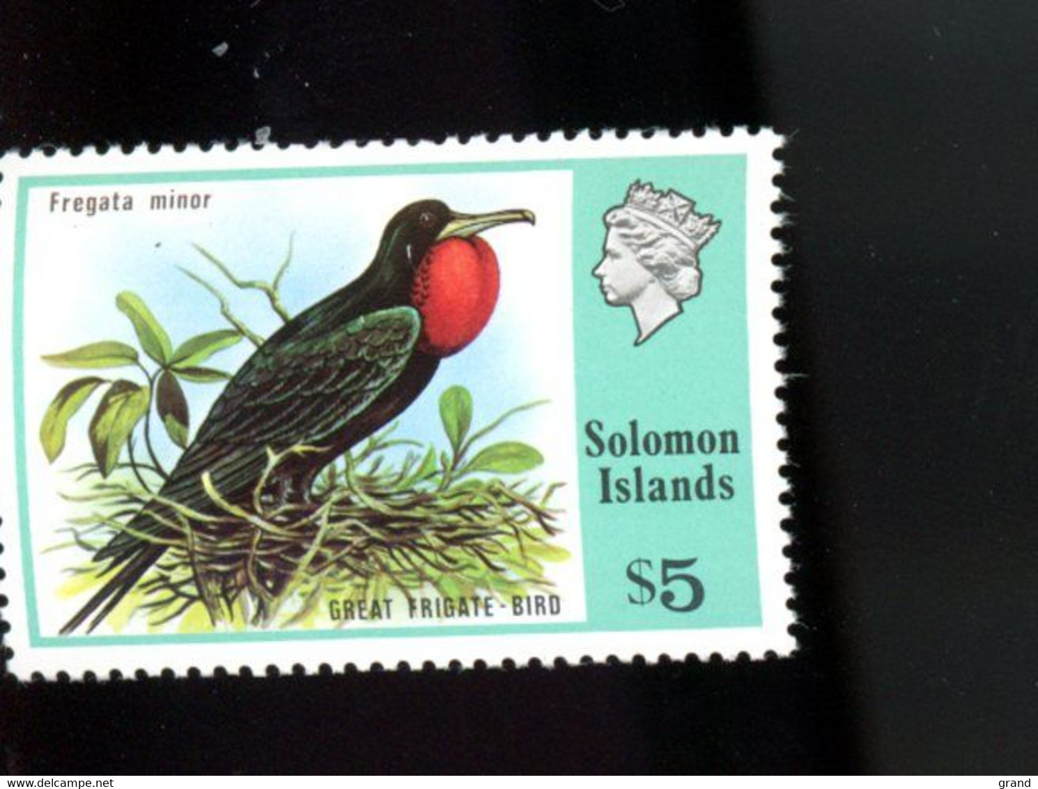 Solomon -1976-Oiseau,frégate-YT 324***MNH - Songbirds & Tree Dwellers