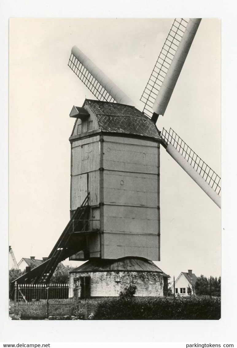 D562 - Zwevegem - Grote Kaart Ong 10x15 - Molen - Moulin - Mill - Mühle - - Zwevegem