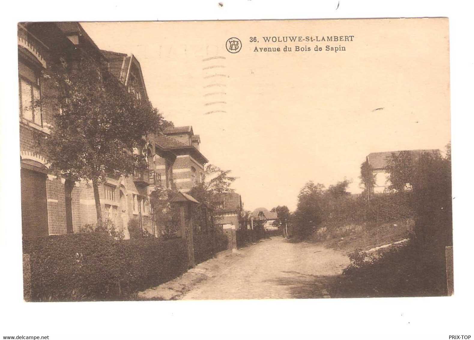 REF2546/ CP-PC Woluwé-St.-Lambert Avenue Du Bois De Sapin - St-Lambrechts-Woluwe - Woluwe-St-Lambert