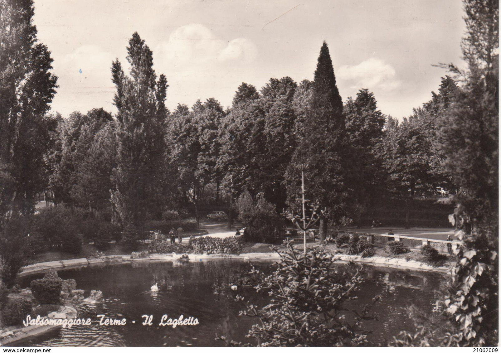 SALSOMAGGIORE TERME - LAGHETTO CON CIGNI NEL PARCO MAZZINI - VIAGGIATA 1962 - Otros & Sin Clasificación