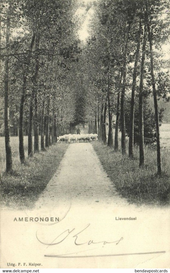 Nederland, AMERONGEN, Lievendael (1903) Ansichtkaart - Amerongen