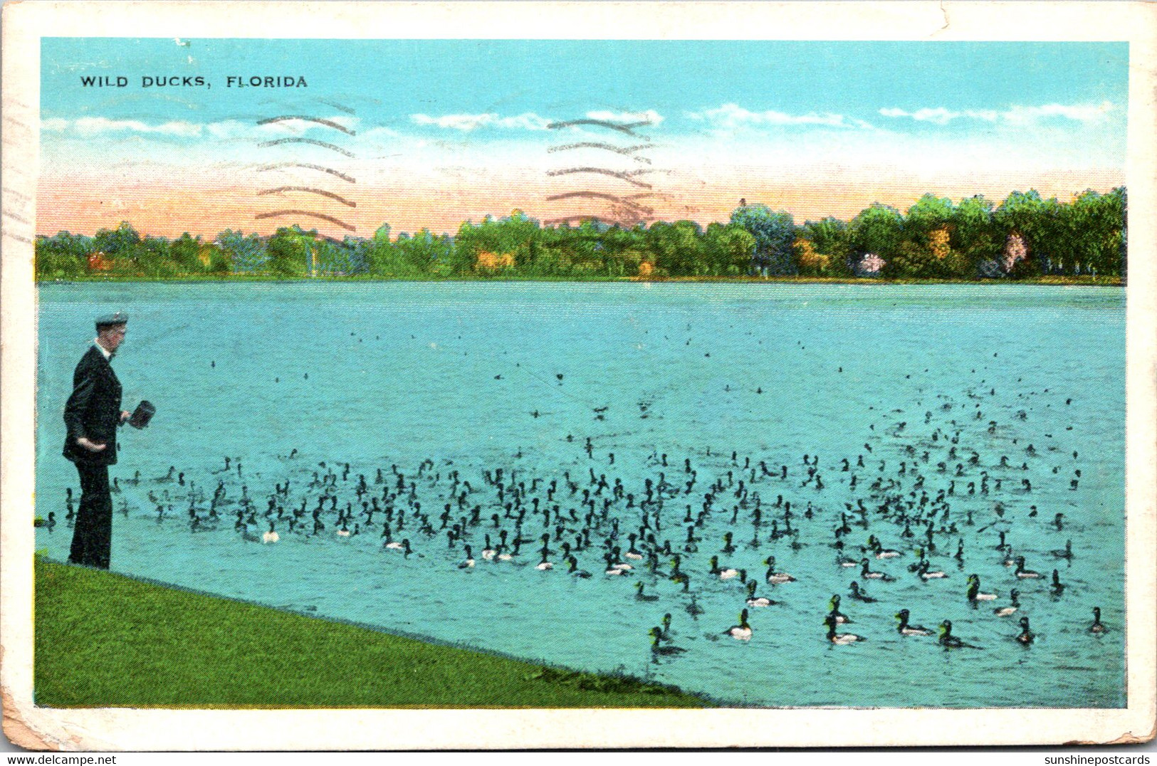 Florida West Palm Beach Feeding The Wild Ducks 1938 - West Palm Beach