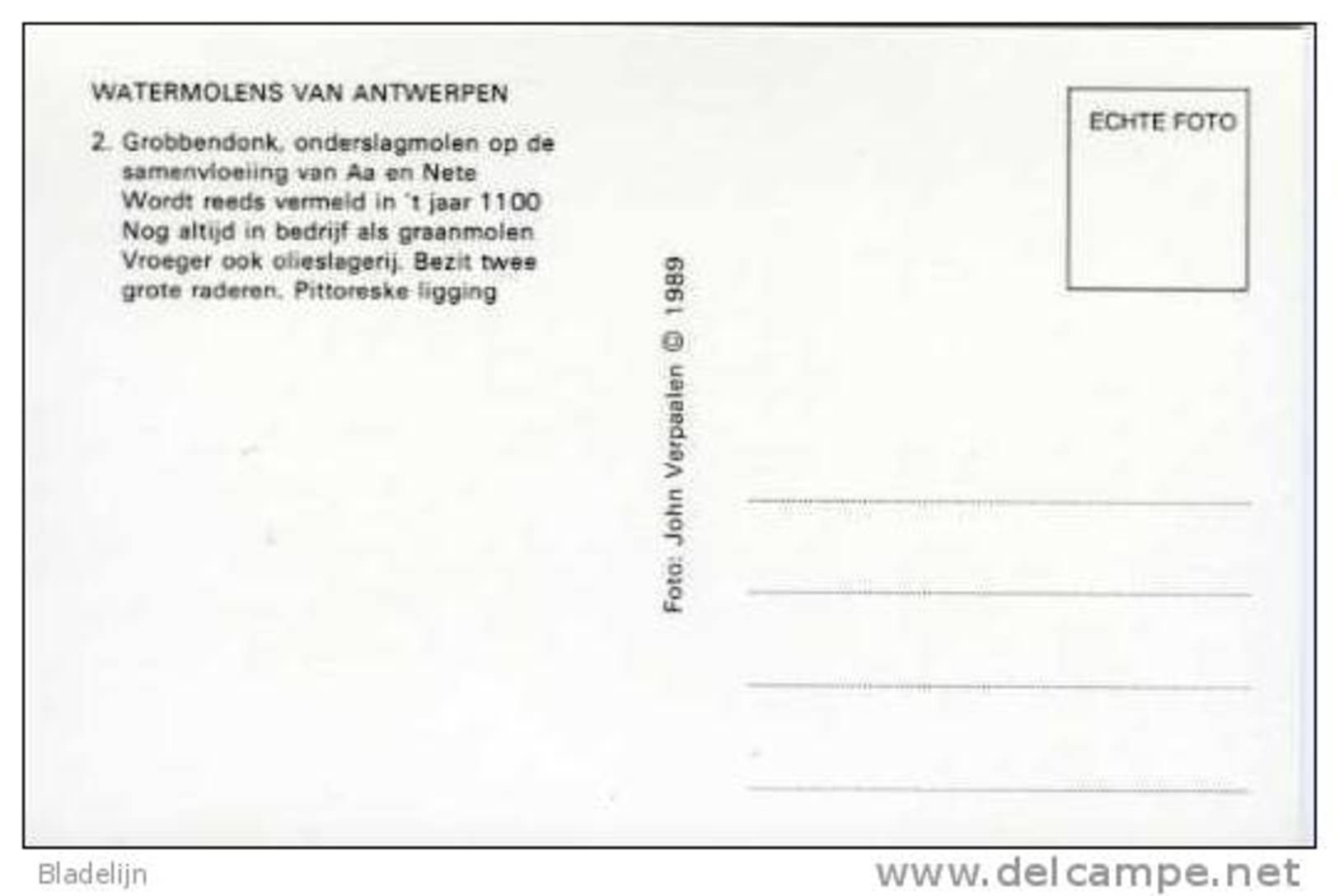 GROBBENDONK (Antw.) - Molen/moulin - De Watermolen Volop In Bedrijf D.d. 1989 (met De Oude Dakbekleding) - Grobbendonk