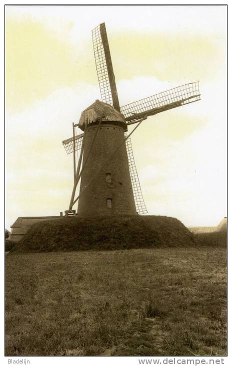 WUUSTWEZEL (Antw.) - Molen/moulin - Maxikaart V.d. Gewezen Stenen Molen Omstreeks 1925 - Heden Nog Romp - Wuustwezel