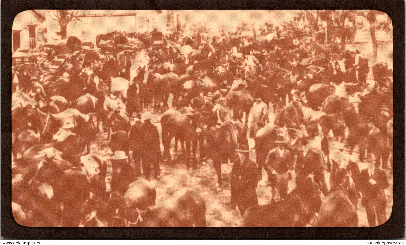 Tennessee Lynchburg Mule Days Open Air Mule Market Circa Early 1900s - Lynchburg