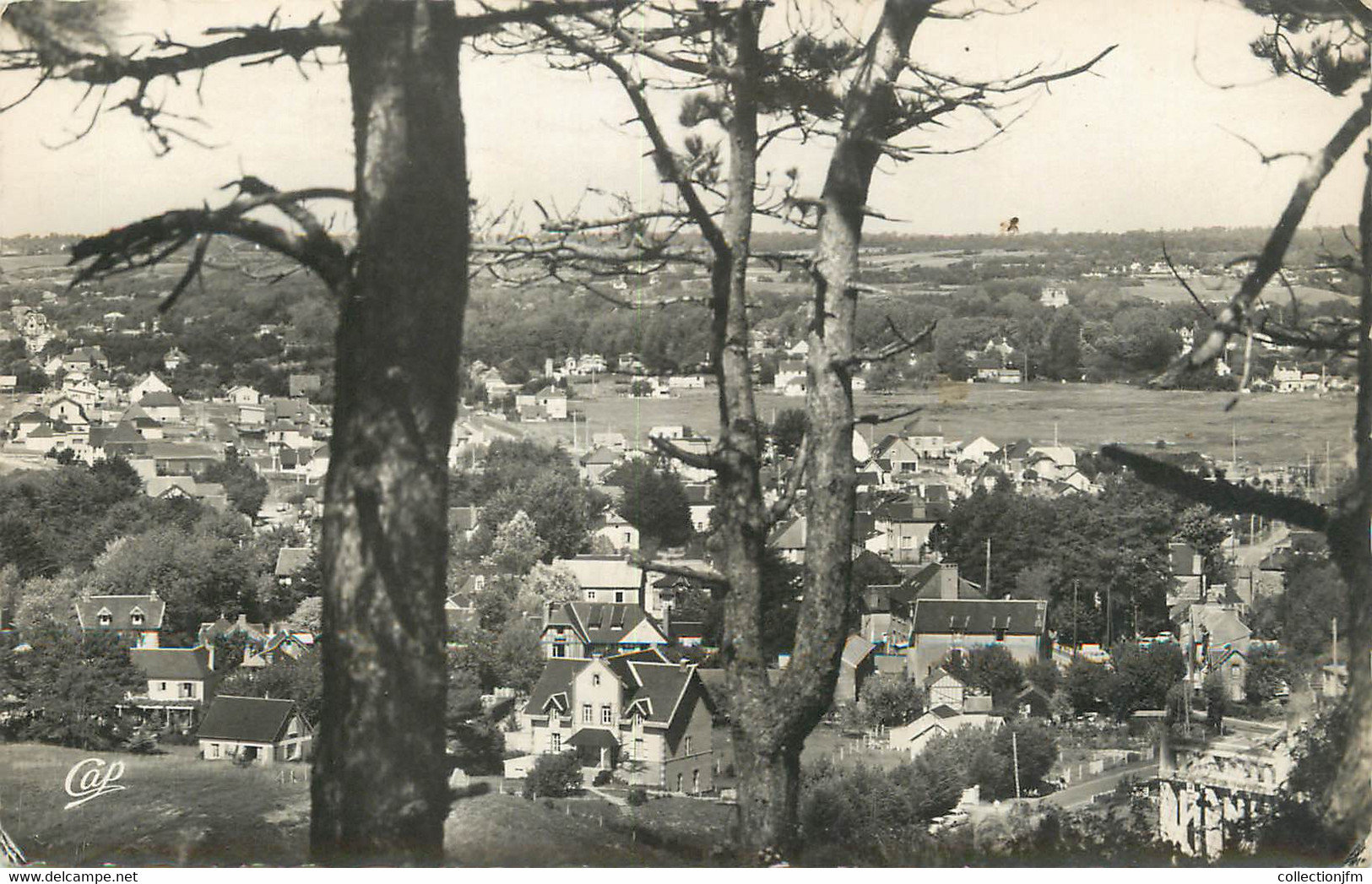 / CPSM FRANCE 50 "Carolles, Vue Panoramique" - Sonstige & Ohne Zuordnung