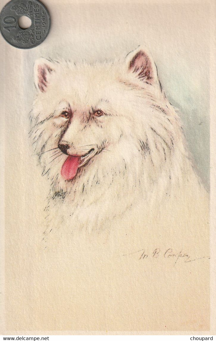 Très Belle Carte Postale Ancienne De Chien  LOULOU DE POMERANIE !!!   Signée MB Cooper - Dogs