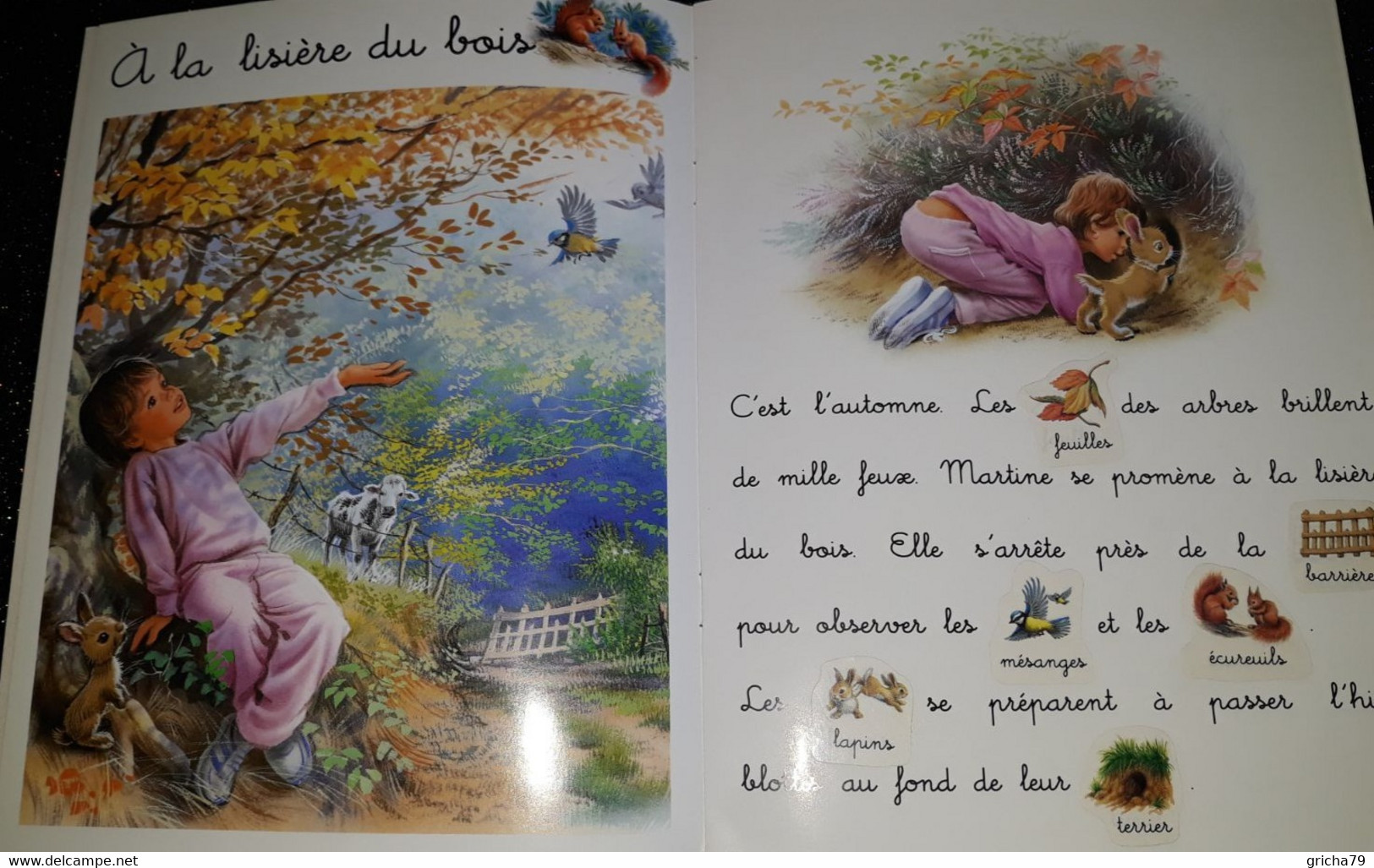 LIVRE POUR ENFANT - LES AMIS DE MARTINE DANS LA FORET - Casterman