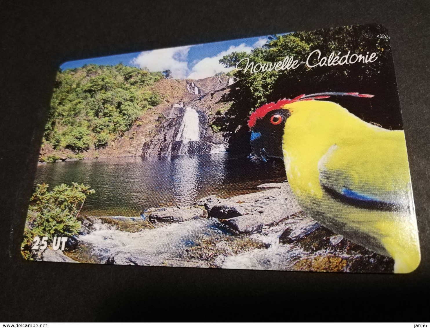 NOUVELLE CALEDONIA  CHIP CARD 25  UNITS   COLOURFULL BIRD BY WATERFALL       ** 4187 ** - Nuova Caledonia