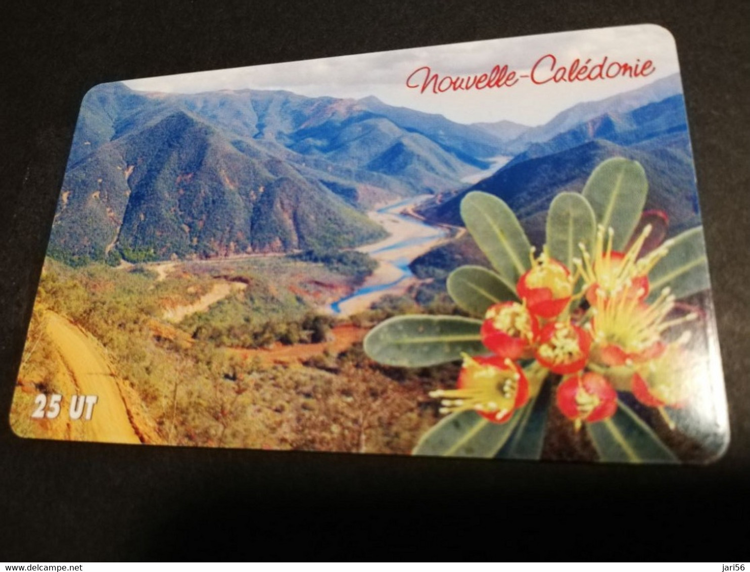 NOUVELLE CALEDONIA  CHIP CARD 25  UNITS PLANTE ENDEMIQUE DU SUD  /FLOER IN THE MOUNTAINS         ** 4192 ** - New Caledonia