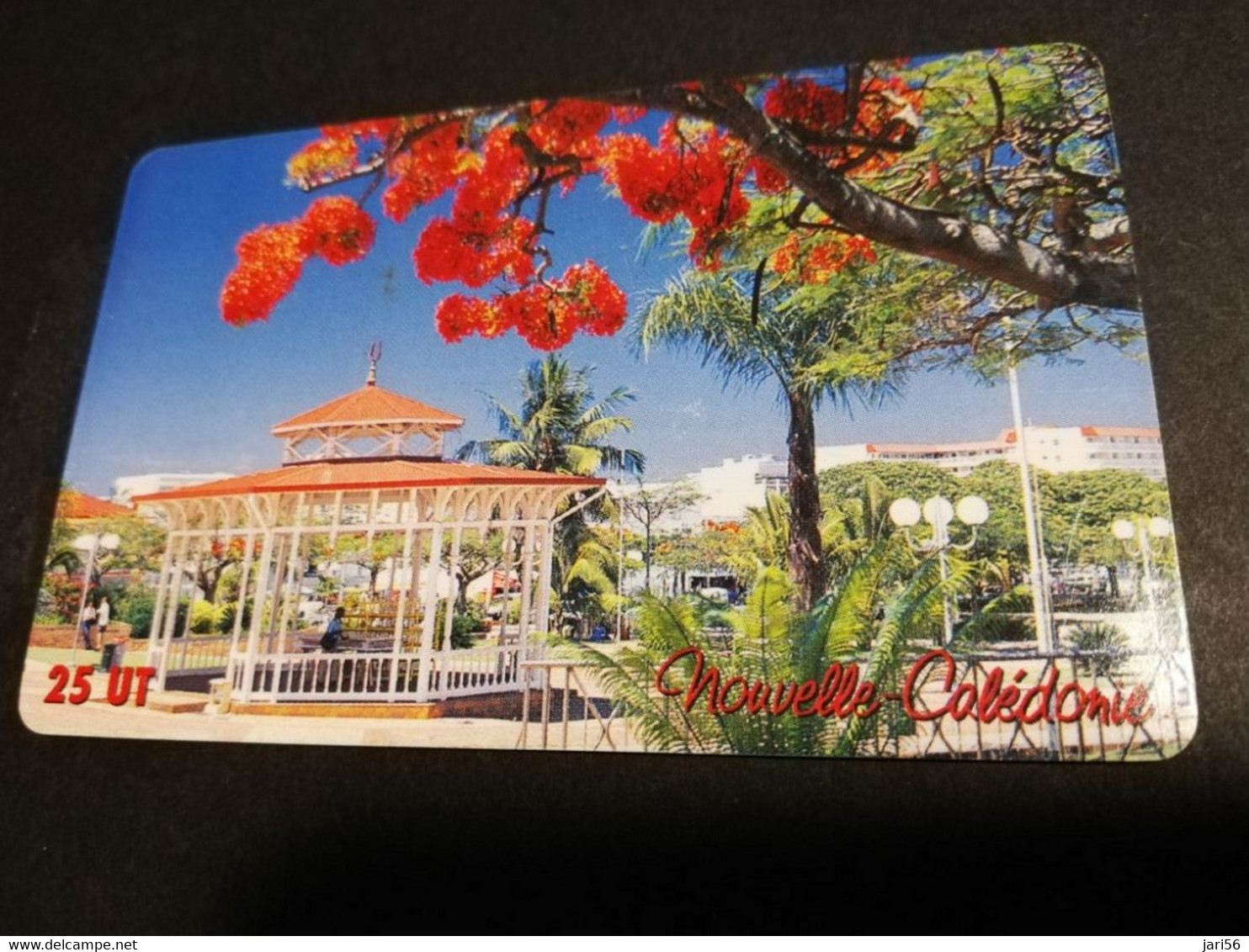 NOUVELLE CALEDONIA  CHIP CARD 25  UNITS  KIOSQUE A MUSIC AND FLOWERS IN TREE       ** 4195 ** - Nouvelle-Calédonie