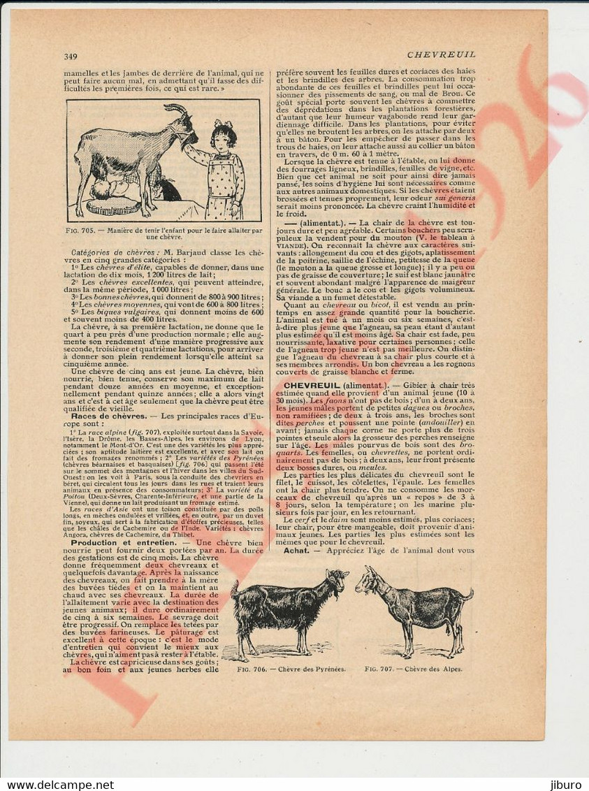 3 Vues Presse 1926 Chèvre Animal Allaitement De Bébé Au Lait De Chèvres 146/5 - Andere & Zonder Classificatie