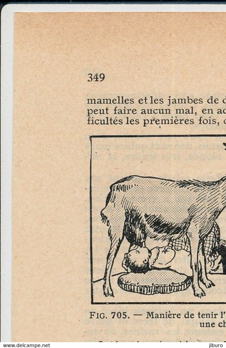 3 Vues Presse 1926 Chèvre Animal Allaitement De Bébé Au Lait De Chèvres 146/5 - Andere & Zonder Classificatie