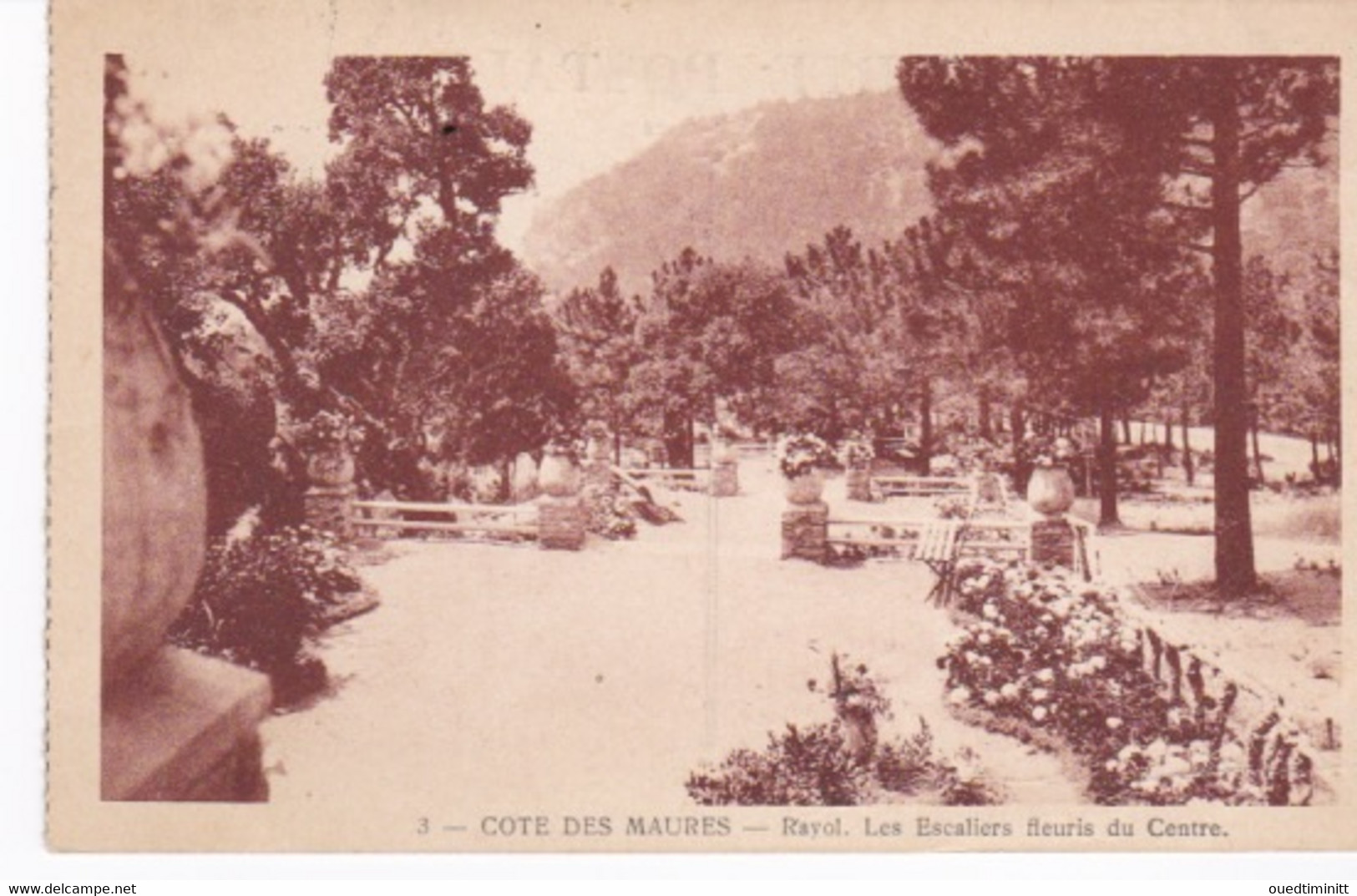 La Côte Des Maures, Rayol, Escaliers Fleuris. - Rayol-Canadel-sur-Mer