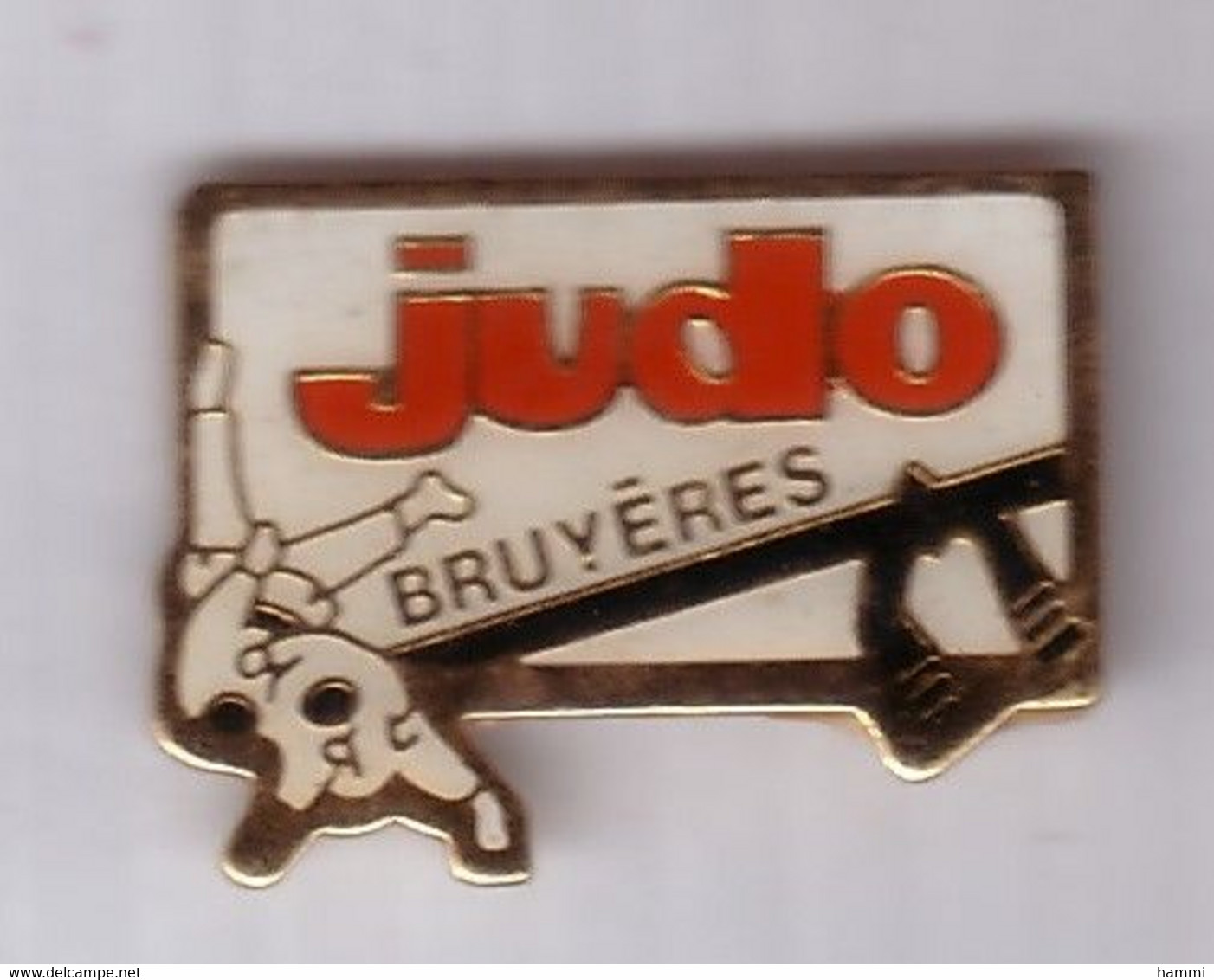 C384 Pin's Judo Club De Bruyères Vosges Ou Bruyères-le-Châtel Essonne Achat Immédiat - Judo