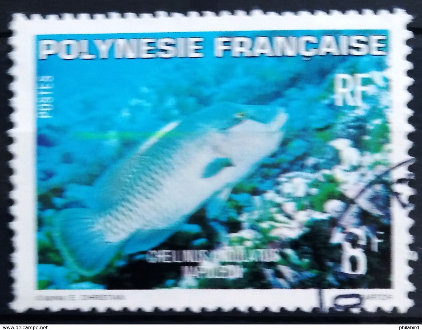 POLYNESIE                N° 148                   OBLITERE - Used Stamps